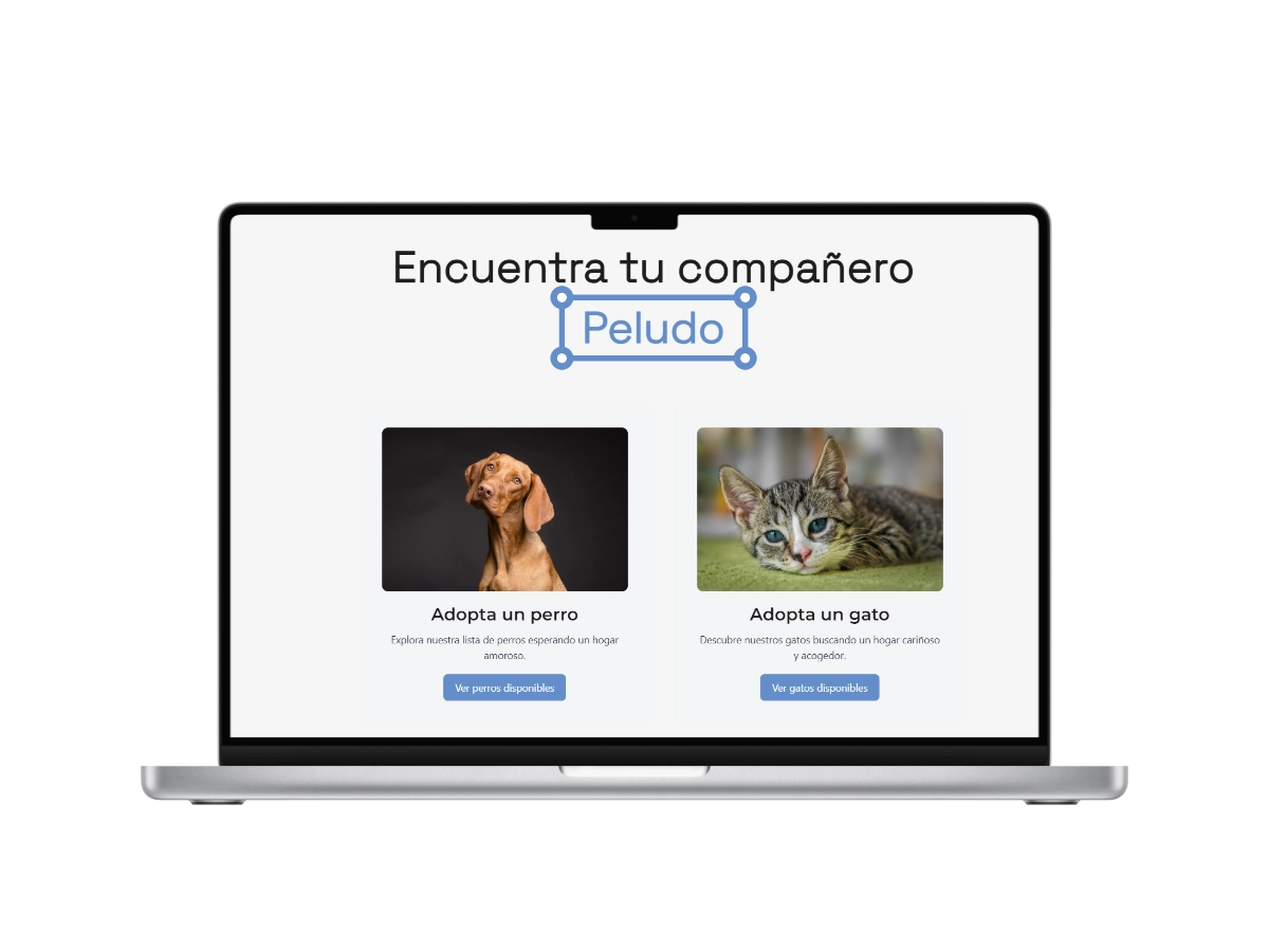 Wander Whiskers - Encuentra a tu amigo peludo